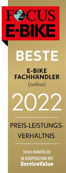 Focus E-Bike 2021