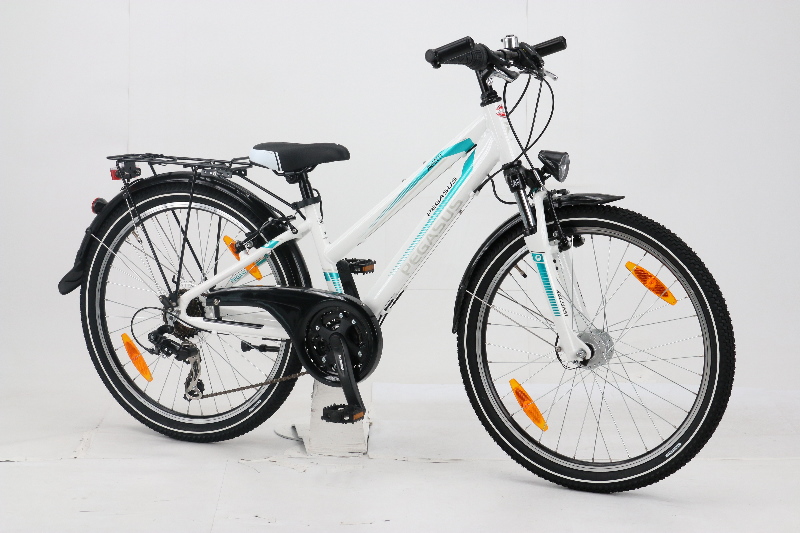 Pegasus Avanti 24 Zoll Test
