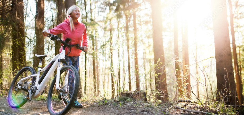 Die neuen E-Bikes&nbsp; sind da