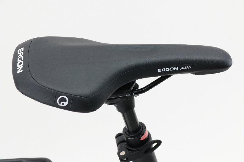 BMZ für HERCULES ALASSIO PRO 10, LION E-Bike Akku 37V 17,5Ah ab 627,00 € | Preisvergleich bei