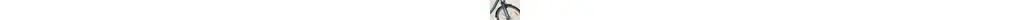Pegasus Piazza 21 28" Trekkingbike 21-Gang Shimano Kettenschaltung 28 Zoll unisex Kettenschaltung grün Rahmenhöhe: S