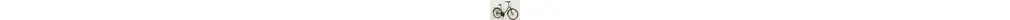 Pegasus Piazza 21 28" Trekkingbike 21-Gang Shimano Kettenschaltung 28 Zoll unisex Kettenschaltung grün Rahmenhöhe: S