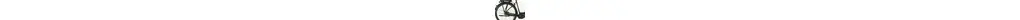 Westland Premium E N8 28 Zoll Wave E-Bike 8-Gang Nabenschaltung 500Wh 13Ah Akku schwarz Bosch Rahmenhöhe: 53 cm