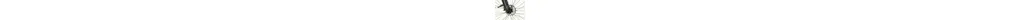 Westland Prime CX2 28 Zoll Trapez E-Bike 10-Gang Kettenschaltung 500Wh 13,4Ah Akku schwarz Bosch Rahmenhöhe: 48 cm