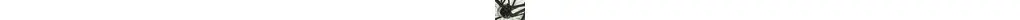 Kalkhoff Endeavour 8 Trekkingrad 8 Gang Nexus 28 Zoll Herrenfahrrad 8 Gang Nabenschaltung schwarz Rahmenhöhe: 50 cm