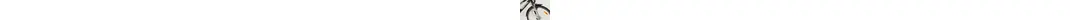 Pegasus Avanti 18 26" Trekkingbike 18-Gang Shimano Kettenschaltung 26 Zoll unisex Kettenschaltung schwarz Rahmenhöhe: 50 cm