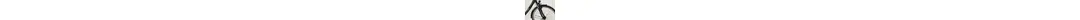 Pegasus Solero SL 8 28" Trekkingbike 8-Gang Shimano Nabenschaltung 28 Zoll unisex Nabenschaltung schwarz Rahmenhöhe: 45 cm