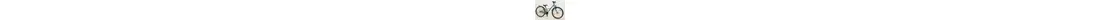 S'cool XXlite alloy 24-3 S 24" Knaben ATB 3-Gang Rücktrittbremsnabe 24 Zoll jugendfahrrad Nabenschaltung grau Rahmenhöhe: 31 cm