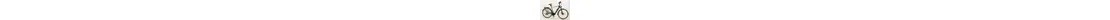 KTM Macina Style 610 Nyon Trekking E-Bike 12-Gang Deore XT 625Wh, 85Nm unisex Kettenschaltung braun Bosch Rahmenhöhe: 46 cm