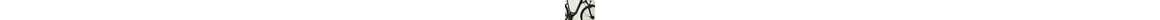 Cube Touring 24 Trekkingrad 24-Gang Shimano Kettenschaltung 28 Zoll Damenfahrrad 24 Gang Kettenschaltung schwarz Rahmenhöhe: 45 cm