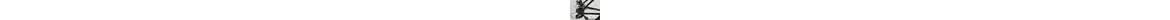 Bulls Wildtail 1 29" Mountainbike 21-Gang Shimano Kettenschaltung 29 Zoll erwachsenenfahrrad Kettenschaltung schwarz Rahmenhöhe: 56 cm