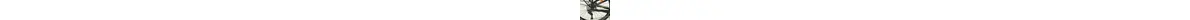 Bergamont E-Horizon FS Elite E-Trekking-Allrounder Pedelec 11Gang Ah Herrenfahrrad 11 Gang Kettenschaltung grau Bosch Rahmenhöhe: 46 cm