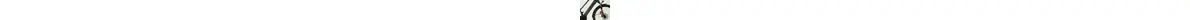 Focus PLANET² 5.7 E-Bike/Pedelec 9-Gang Kette Bosch Intube 13.4 Ah Damenfahrrad 9 Gang Kettenschaltung schwarz Bosch Rahmenhöhe: 43 cm