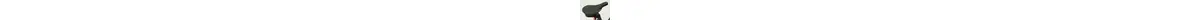 Focus PLANET² 5.7 E-Bike/Pedelec 9-Gang Kette Bosch Intube 13.4 Ah Damenfahrrad 9 Gang Kettenschaltung schwarz Bosch Rahmenhöhe: 43 cm