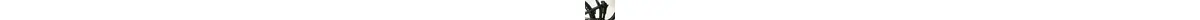 Focus JAM 6.7 NINE Fullsuspension MTB Offroad 12 Gang Kette 29 Zoll erwachsenenfahrrad 12 Gang Kettenschaltung schwarz Rahmenhöhe: 41 cm