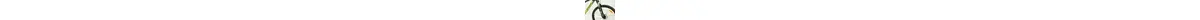 Bergamont Revox 2 Hardtail MTB Offroad 21 Gang Kettenschaltung 29 Zoll Herrenfahrrad 21 Gang Kettenschaltung schwarz Rahmenhöhe: 44,5 cm