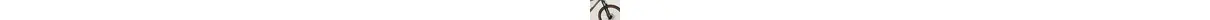 Bulls Copperhead 3 27,5" Mountainbike 11-Gang Shimano Kettenschaltung 27,5 Zoll erwachsenenfahrrad Kettenschaltung grün Rahmenhöhe: 44 cm