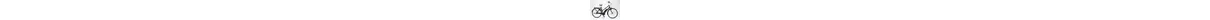 Wanderer E600 Performance Trekking-E-Bike/Pedelec 8-Gang Freilauf Ah Damenfahrrad 8 Gang Nabenschaltung schwarz Bosch Rahmenhöhe: 46 cm