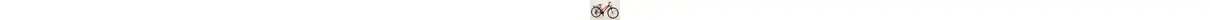 Pegasus Arcona 26-21 Alu 26" Damen Alu- ATB 21-Gang Kettenschaltung, Federgabel 26 Zoll jugendfahrrad Kettenschaltung rot Rahmenhöhe: 44 cm