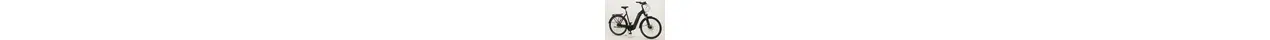 Hercules Intero I-R8 28" City-/Trekking E-Bike 8-Gang Rücktrittbremse 60Nm 630Wh Fit 16,75 Ah erwachsenenfahrrad 8 Gang Nabenschaltung mit Rücktritt schwarz Panasonic Rahmenhöhe: 45 cm