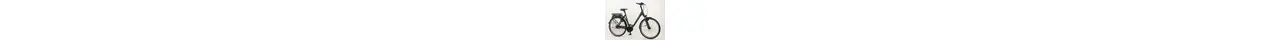 Hercules E-Imperial 180 S F5 28" City-/Trekking XXL-E-Bike 5-Gang Freilauf 500Wh, 180kg 13.4 Ah erwachsenenfahrrad 5 Gang Nabenschaltung mit Freilauf schwarz Bosch Rahmenhöhe: 46 cm