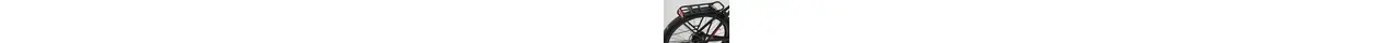 Hercules Intero I-R8 28" City-/Trekking E-Bike 8-Gang Rücktrittbremse 60Nm 630Wh Fit 16,75 Ah erwachsenenfahrrad 8 Gang Nabenschaltung mit Rücktritt schwarz Panasonic Rahmenhöhe: 45 cm