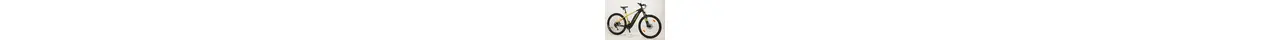 Bergamont E-Revox 4  29" MTB-E-Bike 9-Gang Shimano Kettenschaltung, 85Nw, 65Nm 500Wh Ah Herrenfahrrad 9 Gang Kettenschaltung gold Bosch Rahmenhöhe: 42 cm