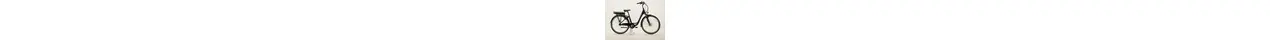 Saxonette City Plus 7 CB City-E-Bike mit 7-Gang Rücktrittbremsnabe, Federgabel 13 Ah unisex 7 Gang Nabenschaltung mit Rücktritt schwarz Rahmenhöhe: 45 cm