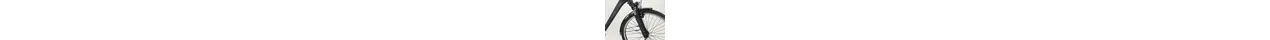Hercules E-Imperial 180 S F5 28" City-/Trekking XXL-E-Bike 5-Gang Freilauf 500Wh, 180kg 13.4 Ah erwachsenenfahrrad 5 Gang Nabenschaltung mit Freilauf schwarz Bosch Rahmenhöhe: 46 cm