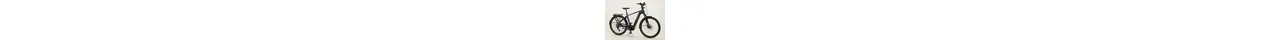 Flyer Gotour 7.10 28" Herren Trekking E-Bike 10-Gang Deore Kette 85Nm 750Wh erwachsenenfahrrad 10 Gang Kettenschaltung anthrazit Bosch Rahmenhöhe: M 586002-01.jpg