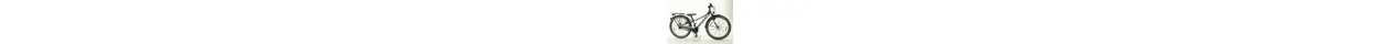 S'cool troX EVO alloy 24" Kn. Dirt-ATB 7-Gang Rücktrittbremsnabe 24 Zoll jugendfahrrad 7 Gang Nabenschaltung mit Rücktritt anthrazit Rahmenhöhe: 30 cm
