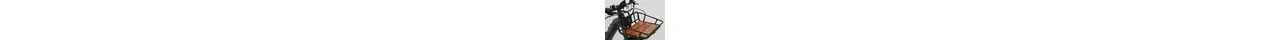 Bulls SturmvogelEvo5FBelt 28" City E-Bike 5-Gang Shimano Nabenschaltung 750Wh Brose erwachsenenfahrrad Nabenschaltung schwarz FIT Rahmenhöhe: 41 cm