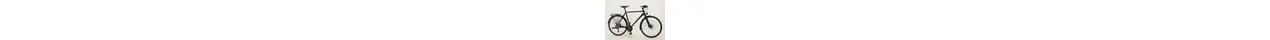 Rabeneick TS7  28" Alu-Speed Trekkingrad 30-Gang Kette Deore / XT, Disc Brakes 28 Zoll Herrenfahrrad 30 Gang Kettenschaltung schwarz Rahmenhöhe: 55 cm