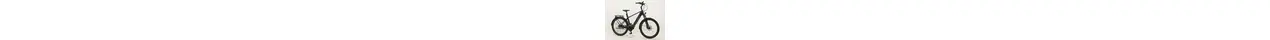 eBikemanufaktur 5NF Gates 27,5 SUV-/Allround E-Bike Nexus 5-Gang Freilaufnabe 625Wh,85Nm Nyon 16,7 Ah Herrenfahrrad 5 Gang Nabenschaltung mit Freilauf schwarz Bosch Rahmenhöhe: 50 cm
