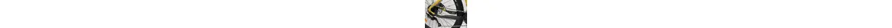 Bergamont E-Revox 4  29" MTB-E-Bike 9-Gang Shimano Kettenschaltung, 85Nw, 65Nm 500Wh Ah Herrenfahrrad 9 Gang Kettenschaltung gold Bosch Rahmenhöhe: 42 cm