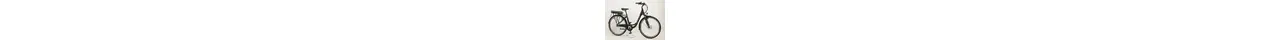 Degreaser Advanced Plus 3 CB City-E-Bike mit 3-Gang Rücktrittbremsnabe, Federgabel 10,4 Ah unisex 3 Gang Nabenschaltung mit Rücktritt schwarz Rahmenhöhe: 50 cm
