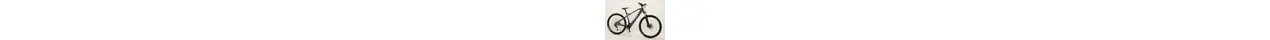 BH ATOM 29 Hadtail MTBt-E-Bike 9-Gang Alivio, 500Wh , Mittelmotor 14 Ah erwachsenenfahrrad 9 Gang Kettenschaltung anthrazit TD HiTech Energy Rahmenhöhe: md (50cm)