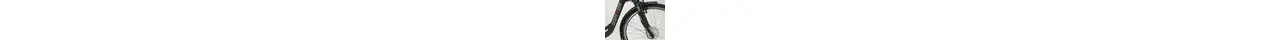 Degreaser Advanced Plus 3 CB City-E-Bike mit 3-Gang Rücktrittbremsnabe, Federgabel 10,4 Ah unisex 3 Gang Nabenschaltung mit Rücktritt schwarz Rahmenhöhe: 50 cm