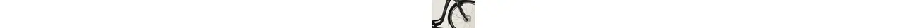 Saxonette City Plus 7 CB City-E-Bike mit 7-Gang Rücktrittbremsnabe, Federgabel 13 Ah unisex 7 Gang Nabenschaltung mit Rücktritt schwarz Rahmenhöhe: 45 cm