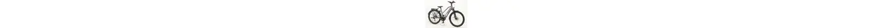 Kalkhoff Endeavour 5.B Move + Trekking E-Bike 9-Gang Shimano Kettenschaltung 625Wh Smart 16,7 Ah erwachsenenfahrrad 9 Gang Kettenschaltung grau Bosch Rahmenhöhe: S (43 cm)