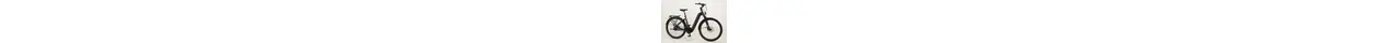 Flyer Gotour6 7.23 Trekking E-Bike stufenlose Enviolo Automatique Gates 65Nm 625Wh erwachsenenfahrrad Automatik-Nabenschaltung anthrazit Bosch Rahmenhöhe: 53 cm