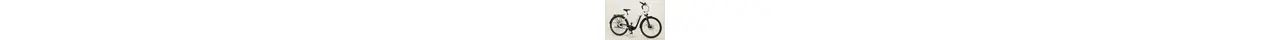 Hercules Intero I-R5 28" Trekking E-Bike 5-Gang Shimano Rücktrittbremse 75Nm 630Wh Fit 16,75 Ah unisex 5 Gang Nabenschaltung mit Rücktritt weiß Panasonic Rahmenhöhe: 45 cm