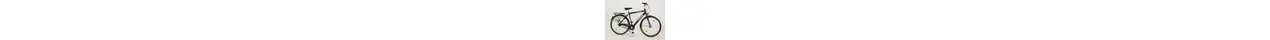 Ragos Tour Lite 7 28" Herren Alu-City-/Trekkingrad 7-Gang Nexus Rücktrittbremsnabe 28 Zoll Herrenfahrrad 7 Gang Nabenschaltung mit Rücktritt schwarz Rahmenhöhe: 50 cm 300777-01.jpg