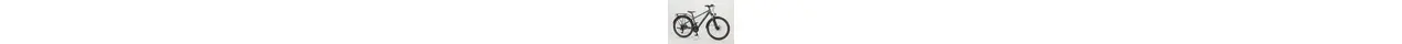 Bergamont Revox ATB 26 Gent Boy  Heren/ Jungend ATB Shimano 21-Gang, Tektro Disc 26 Zoll Herrenfahrrad 21 Gang Kettenschaltung grün Rahmenhöhe: 42 cm