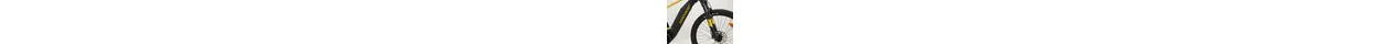Bergamont E-Revox 4  29" MTB-E-Bike 9-Gang Shimano Kettenschaltung, 85Nw, 65Nm 500Wh Ah Herrenfahrrad 9 Gang Kettenschaltung gold Bosch Rahmenhöhe: 42 cm