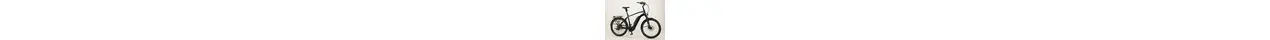Flyer Upstreet 3 7.10 City-/Trekking E-Bike 10-Gang Deore, 90Nm 750Wh, 180kg 20.1 Ah erwachsenenfahrrad Kettenschaltung schwarz Flyer Rahmenhöhe: 59 cm