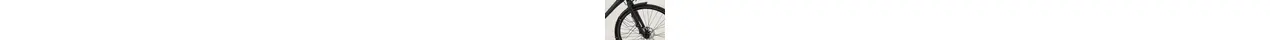 Rabeneick TS7  28" Alu-Speed Trekkingrad 30-Gang Kette Deore / XT, Disc Brakes 28 Zoll Herrenfahrrad 30 Gang Kettenschaltung schwarz Rahmenhöhe: 55 cm