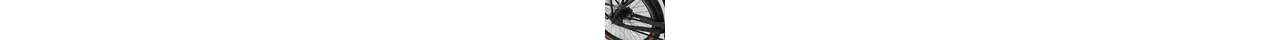 Bulls SturmvogelEvo5FBelt 28" City E-Bike 5-Gang Shimano Nabenschaltung 750Wh Brose erwachsenenfahrrad Nabenschaltung schwarz FIT Rahmenhöhe: 41 cm
