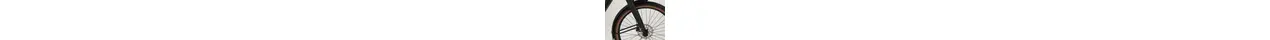Bulls SturmvogelEvo5FBelt 28" City E-Bike 5-Gang Shimano Nabenschaltung 750Wh Brose erwachsenenfahrrad Nabenschaltung schwarz FIT Rahmenhöhe: 41 cm