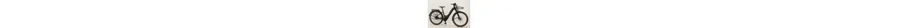 Bulls SturmvogelEvo5FBelt 28" City E-Bike 5-Gang Shimano Nabenschaltung 750Wh Brose erwachsenenfahrrad Nabenschaltung schwarz FIT Rahmenhöhe: 41 cm